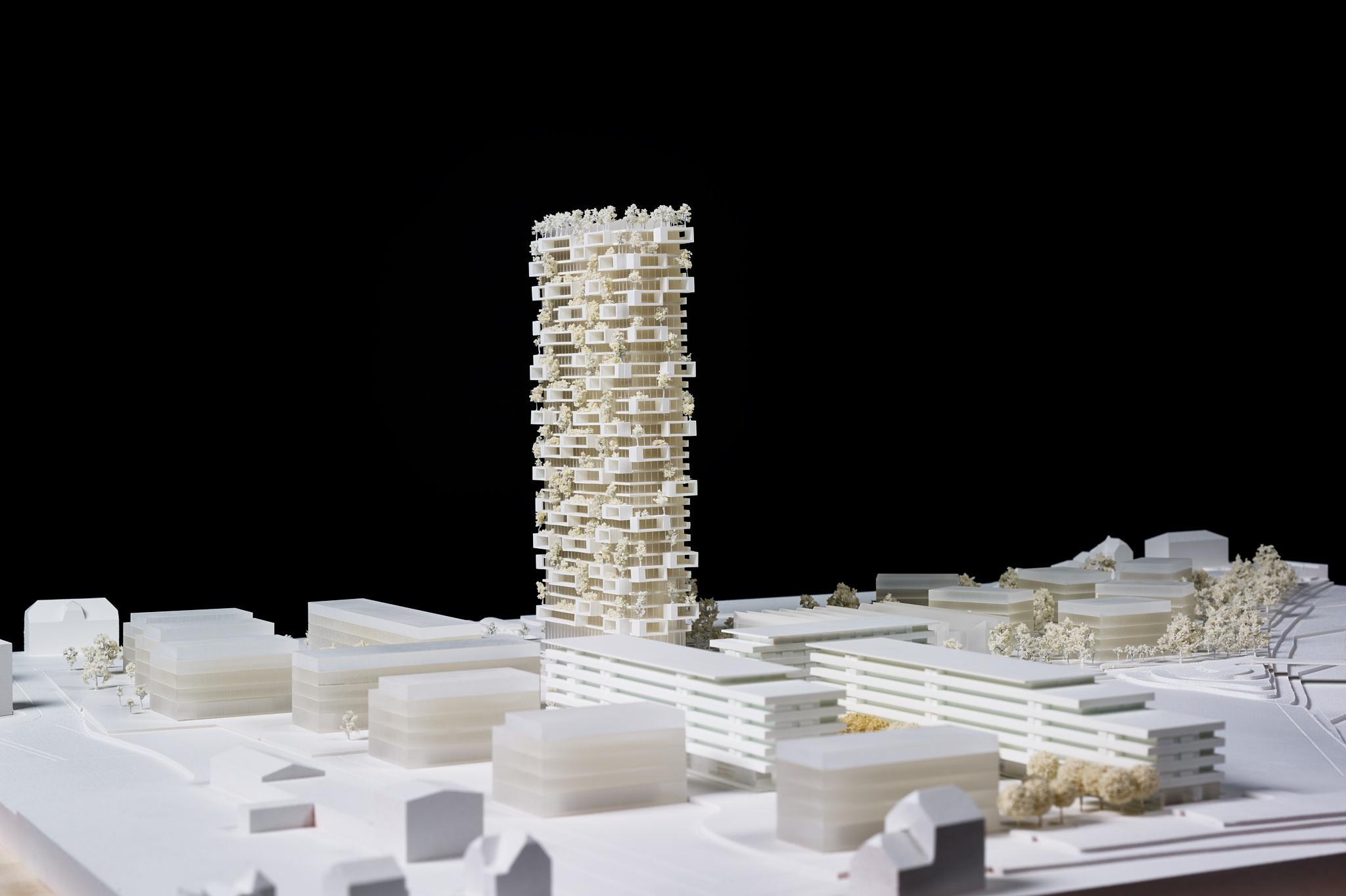 E15567 Alpa 053484 SCREEN